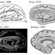 Image for article titled Neuroscientists "Rediscover" A Completely New Brain Part